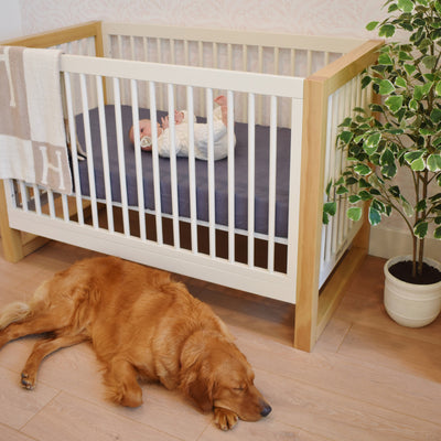 baby inside crib laying on botana hemp crib sheet in night swim with dog next to the crib on the ground 